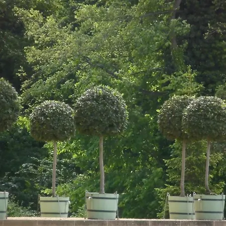 Schlossparkferienwohnungen Mit Garten Rheinsberg