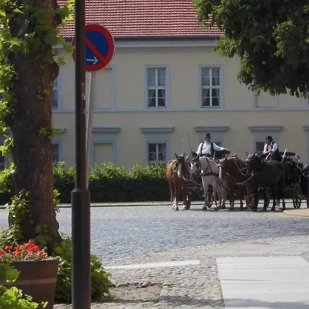 Appartement Schlossparkferienwohnungen Mit Garten Rheinsberg