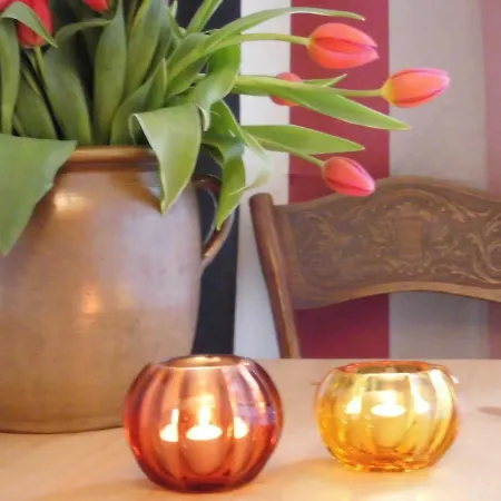 Schlossparkferienwohnungen Mit Garten * ריינסברג