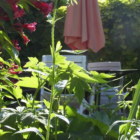 Schlossparkferienwohnungen Mit Garten