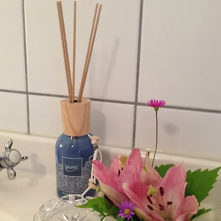 Schlossparkferienwohnungen Mit Garten * ריינסברג