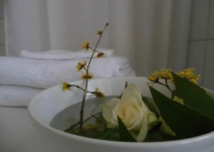 Schlossparkferienwohnungen Mit Garten * راينزبرج