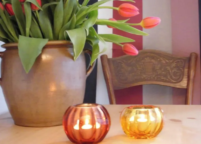 Schlossparkferienwohnungen Mit Garten * ריינסברג