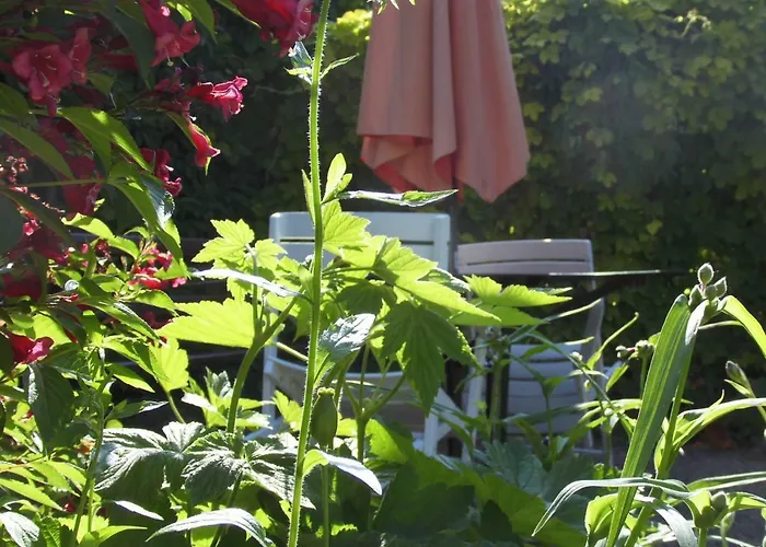 Schlossparkferienwohnungen Mit Garten