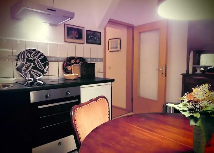 Schlossparkferienwohnungen Mit Garten