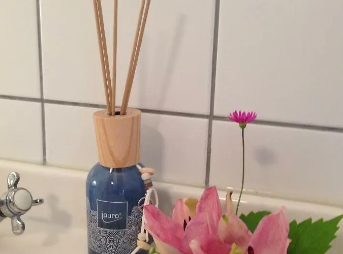 Schlossparkferienwohnungen Mit Garten * راينزبرج